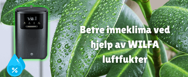 Koffor investere i ein luftfukter  Den tørre vinterluften er tørr både ute og inne. Dette kan bidra til å gi tørre luftveier,prolemer med hår og hu