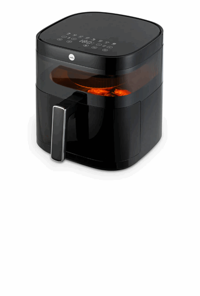 602320 airfryer dual.png