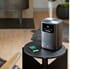 601228_Rel HAZE 2.jpg